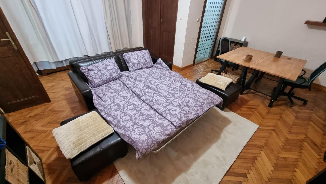 Neuhausz Suite - Ultracentral Тимишоара Экстерьер фото
